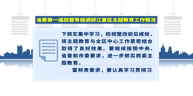 省委第一巡回督导组调研江夏区主题教育工作情况