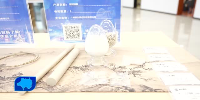 大湾区科技创新武汉中心正式揭牌