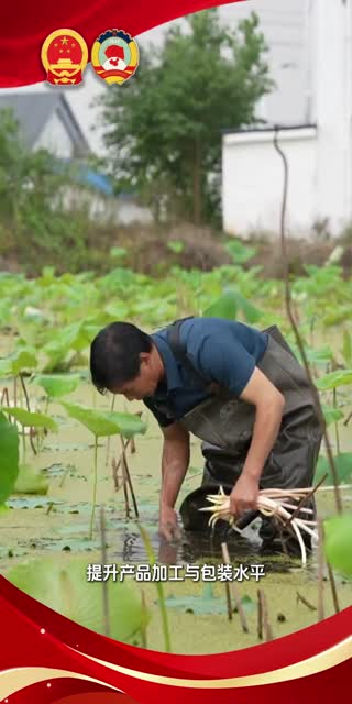 代表委員有話說‖段戀 提升農村本土農產品品質，增強市場競爭力。#江夏#兩會